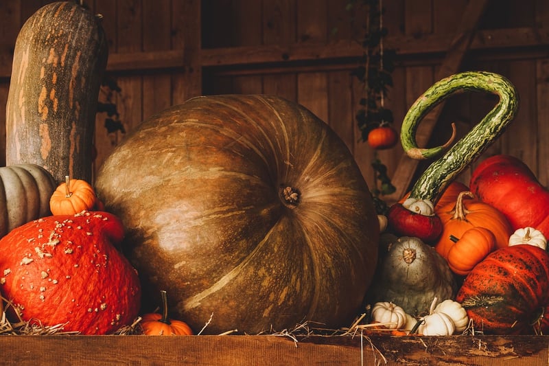 Fairy Tale Pumpkins